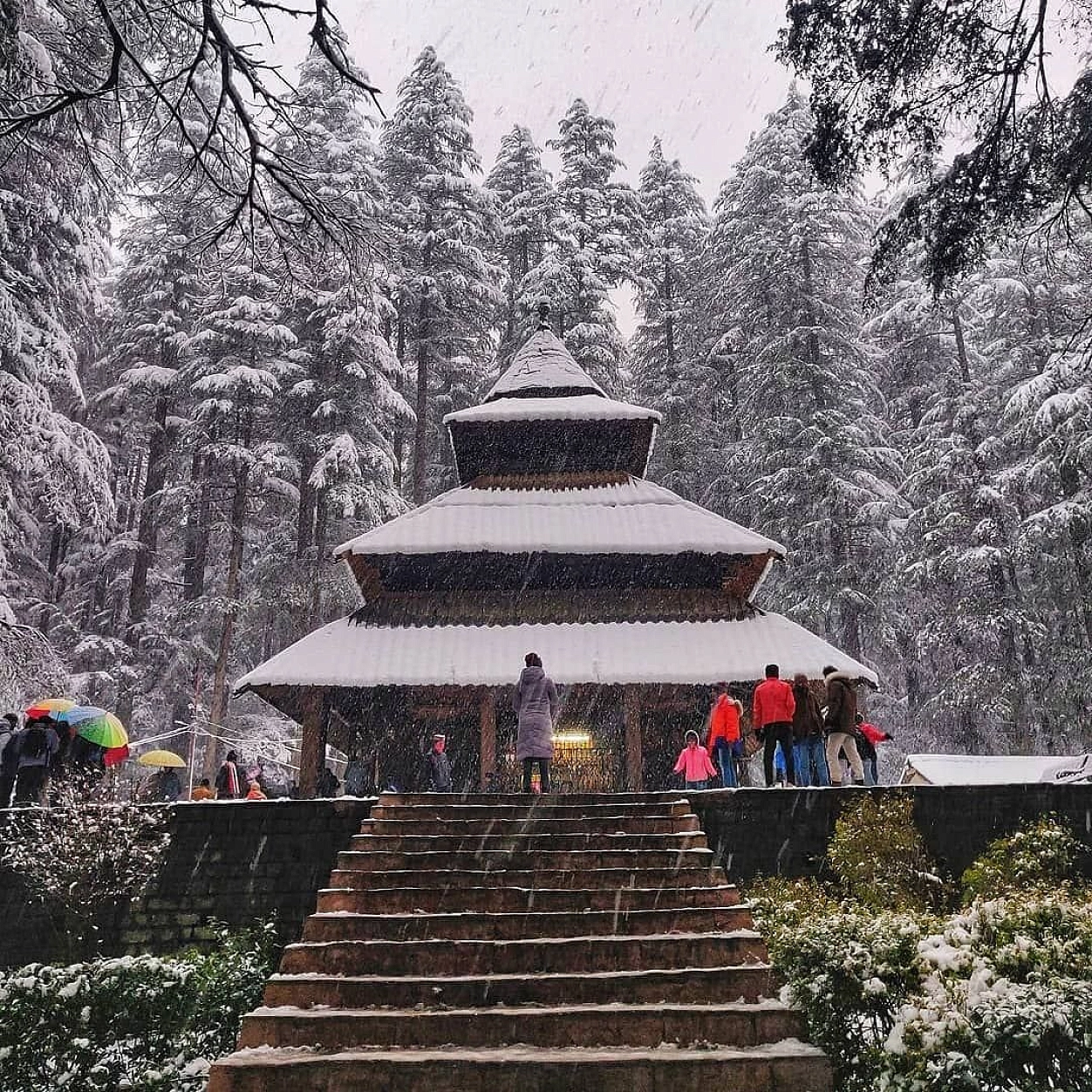 Best of Manali Kasol Tour
